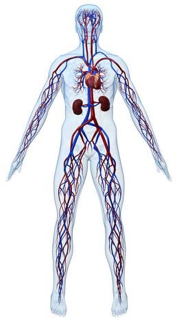 En la insuficiencia cardiaca se produce anemia, insuficiencia renal, insuficiencia hepatica, astenia, disnea, caquexia cardiaca.